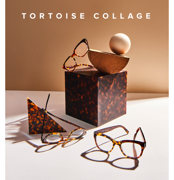Tortoise Collage